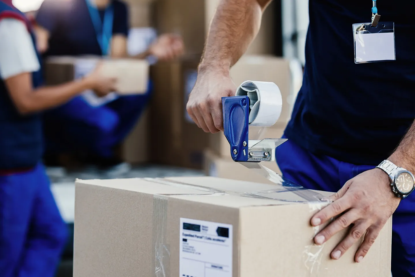 Our Service: The 360º Solution